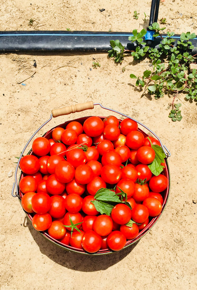 Photo from The Saucey Gourmet