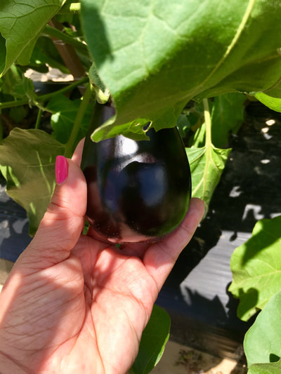 Photo from The Saucey Gourmet