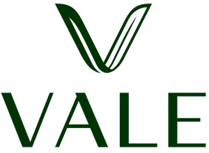 Vale Healthy Kitchen - Tampa logo